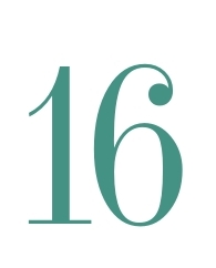16