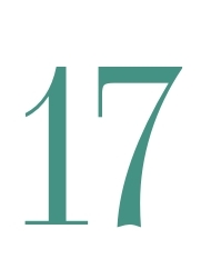17