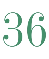 36